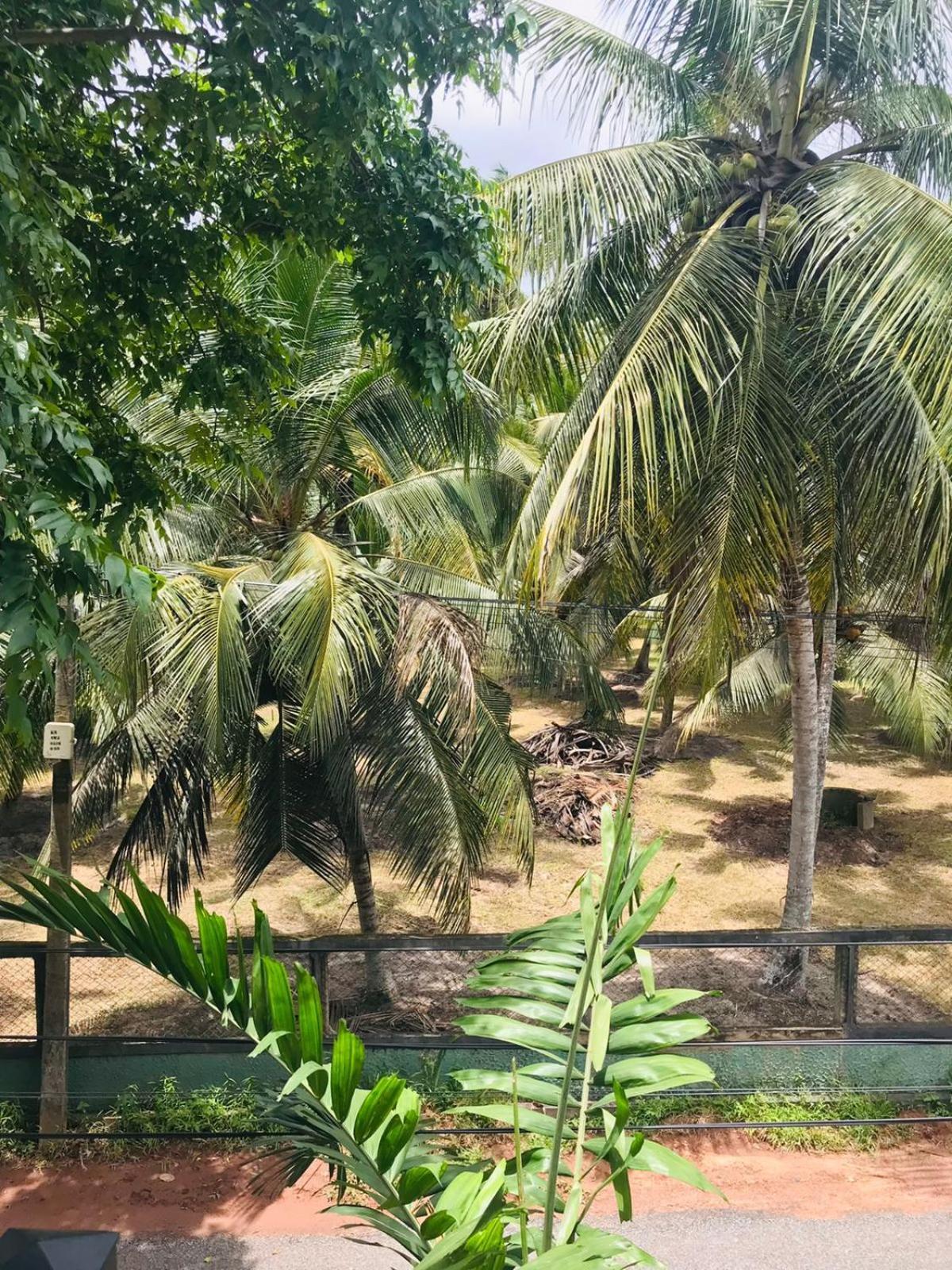 Sri White Villa Airport Boutique Hotel Katunayake Exterior photo