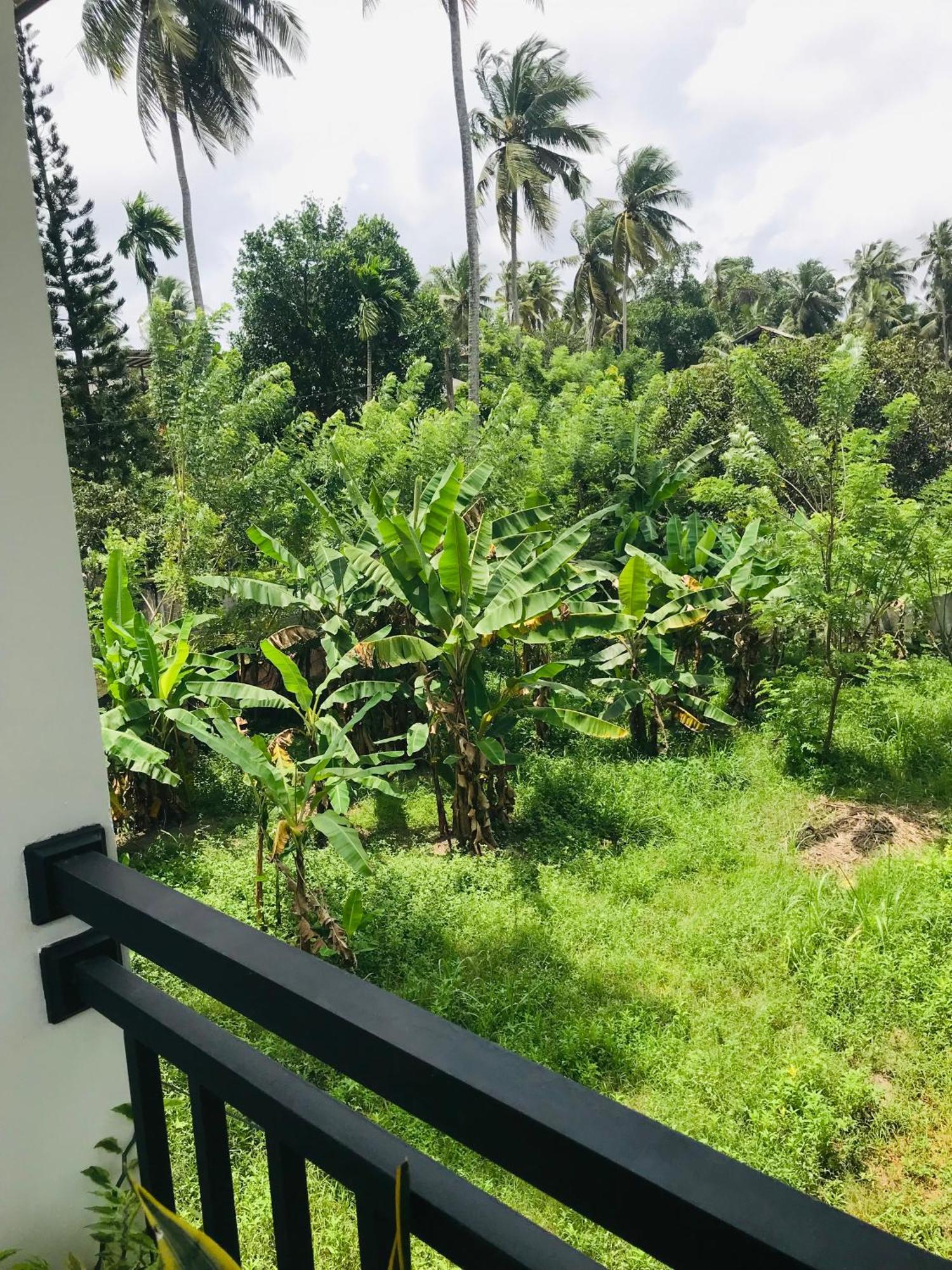 Sri White Villa Airport Boutique Hotel Katunayake Exterior photo